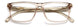 Carrera 286 Eyeglasses