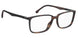 Carrera 8856 Eyeglasses