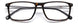 Carrera 8866 Eyeglasses