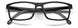 Carrera 8872 Eyeglasses