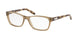 Ralph 7039 Eyeglasses