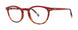 Seraphin DANBURY Eyeglasses