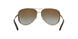 1014T5 - Brown - Brown Gradient Polarized