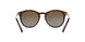 3106T5 - Havana - Brown Gradient Polarized