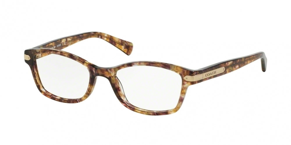 Coach store glasses 6065