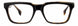 STATE Optical Co. WOLCOTT Eyeglasses