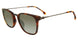 Lozza SL4163M Sunglasses