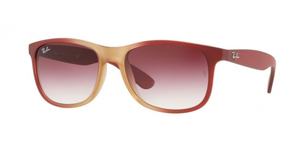 Ray-Ban Andy 4202 Sunglasses