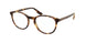 Chaps 3047 Eyeglasses