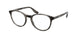 Chaps 3047 Eyeglasses