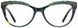 Cinzia CIN5080 Eyeglasses