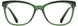 Cinzia CIN5113 Eyeglasses