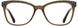 Cinzia CIN5113 Eyeglasses