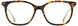 Cinzia CIN5137 Eyeglasses