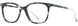 Cinzia CIN5137 Eyeglasses