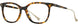 Cinzia CIN5137 Eyeglasses