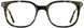 Cinzia CIN5141 Eyeglasses