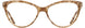 Cinzia CIN5143 Eyeglasses