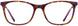 Cinzia CIN5147 Eyeglasses