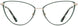 Cinzia CIN5148 Eyeglasses