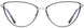 Cinzia CIN5148 Eyeglasses