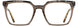 Cinzia CIN5153 Eyeglasses