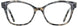 Cinzia CIN5156 Eyeglasses