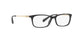 Coach 6110 Eyeglasses