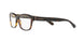 Coach 6116 Eyeglasses