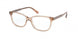 Coach 6143 Eyeglasses