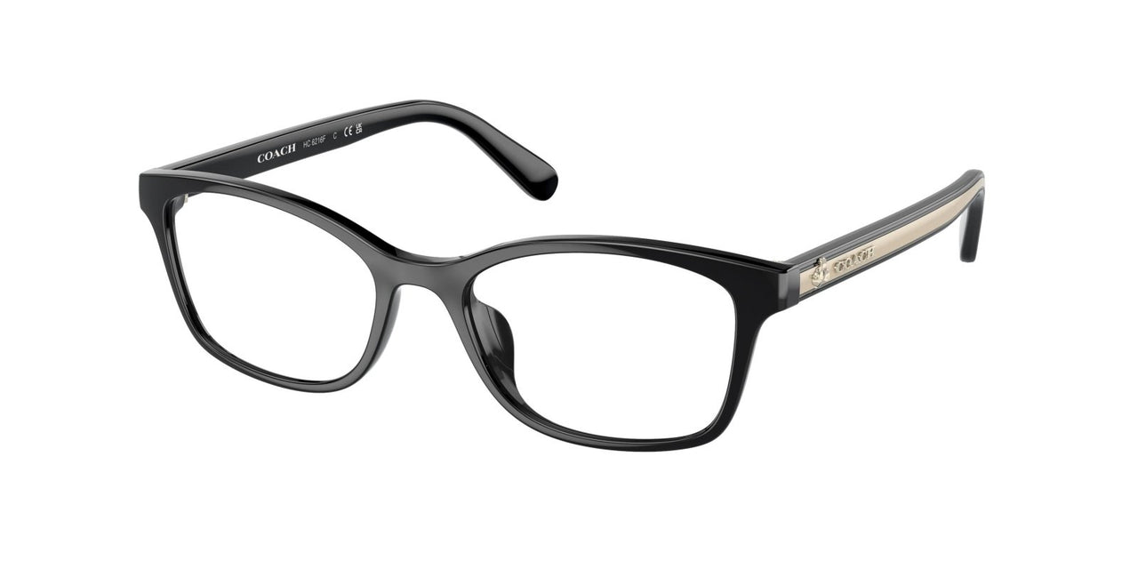 Coach 6216F Eyeglasses