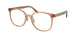 Coach 6217 Eyeglasses