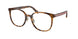 Coach 6217 Eyeglasses