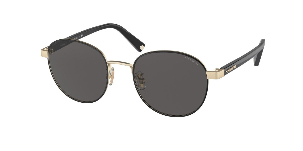 Coach C6195 7131 Sunglasses