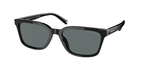 Coach C6196 8328U Sunglasses - designeroptics.com