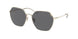 Coach C7998 7132 Sunglasses