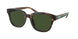 Coach C8003 8340U Sunglasses