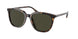 Coach C8006 8338U Sunglasses