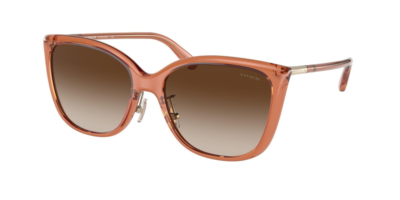 Coach C9206 8345 Sunglasses