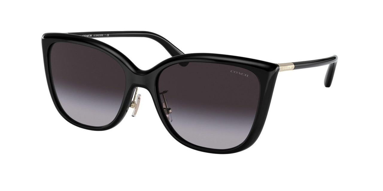 Coach C9206 8345 Sunglasses