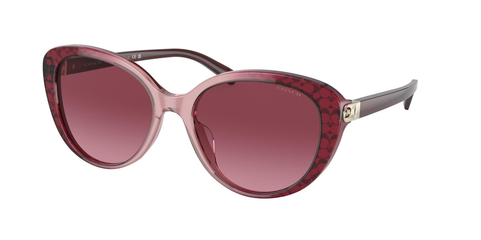 サングラス/メガネ Coach ladies Sunglass Coach HC8132 L109 Sunglasses | LensCrafters
