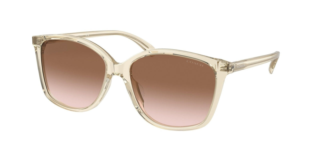 Coach Ch558 8361U Sunglasses