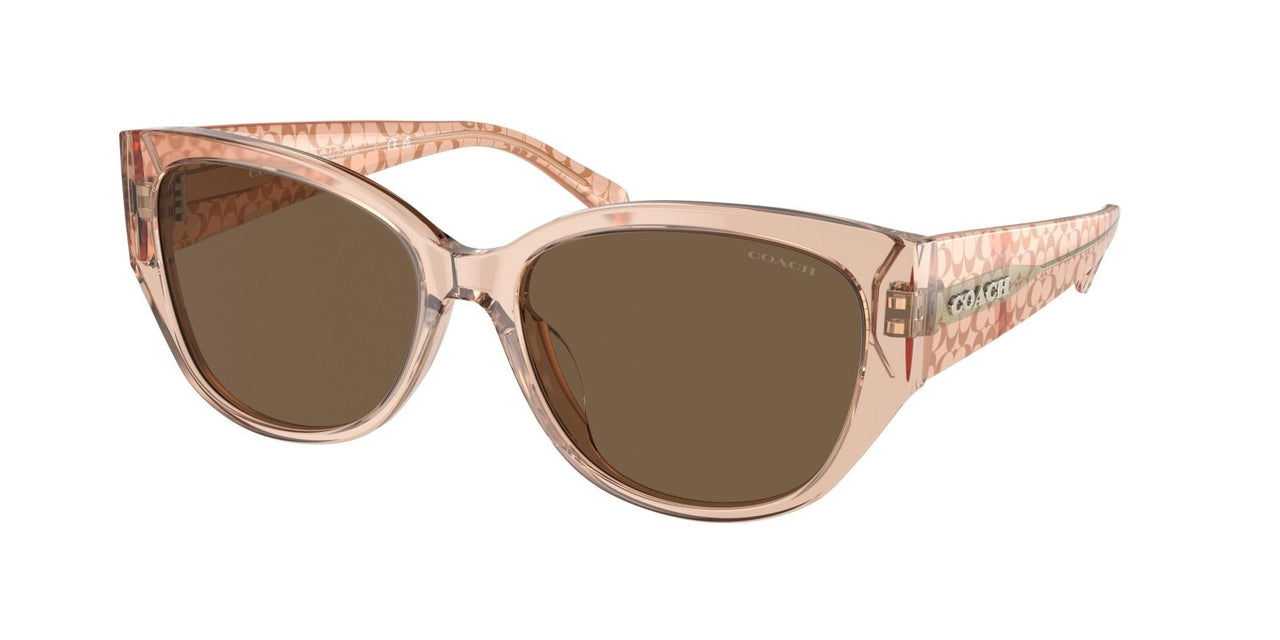 Coach Ch563 8362U Sunglasses