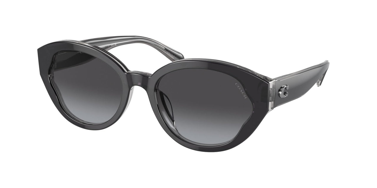 Coach Ch569 8364U Sunglasses