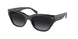 Coach Ch570 8370U Sunglasses