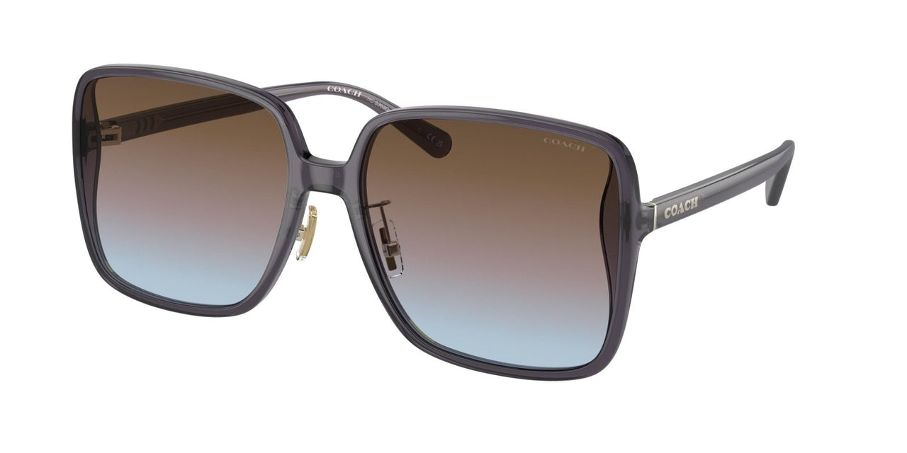 Coach Ch572 8368D Sunglasses