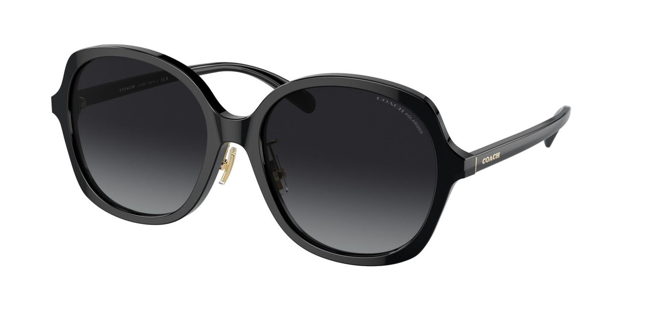 Coach Ch610 8360F Sunglasses