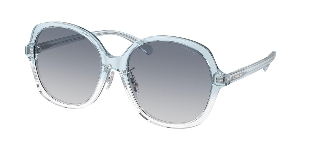 Coach Ch610 8360F Sunglasses