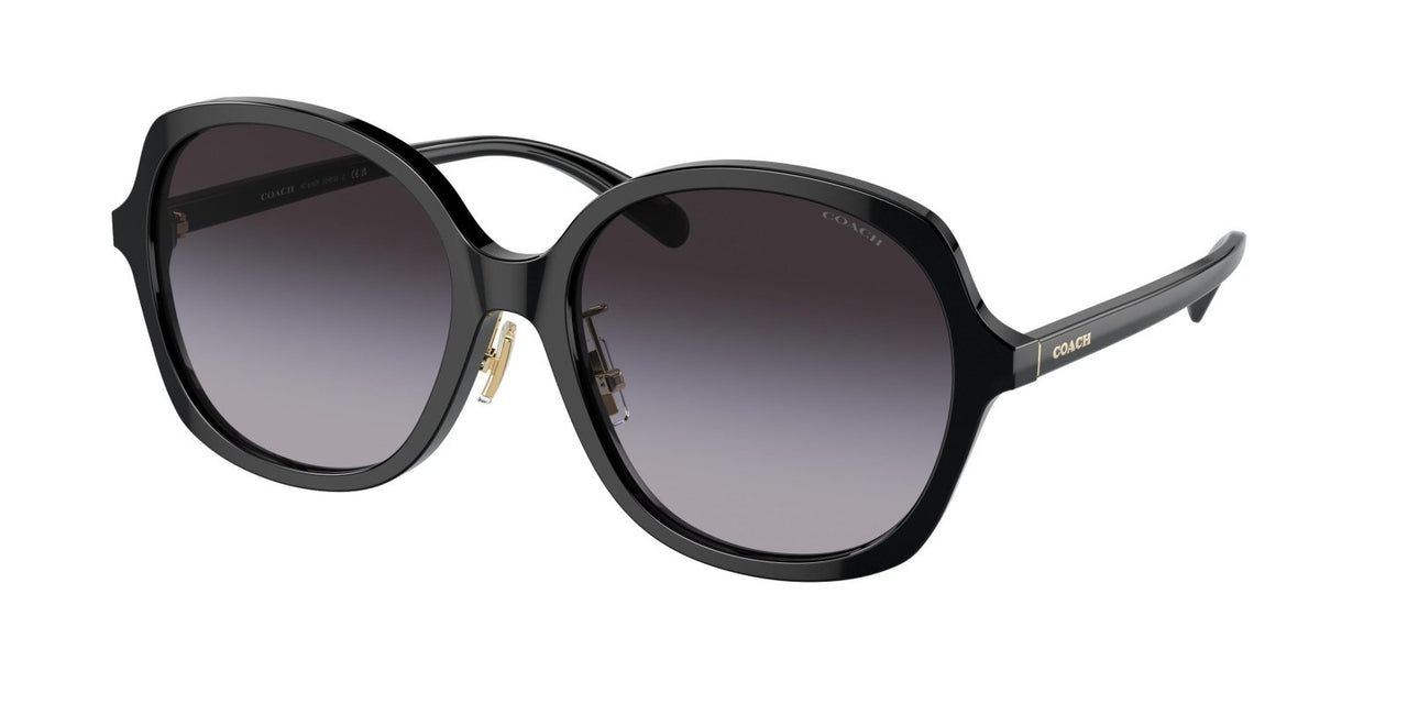 Coach Ch610 8360F Sunglasses