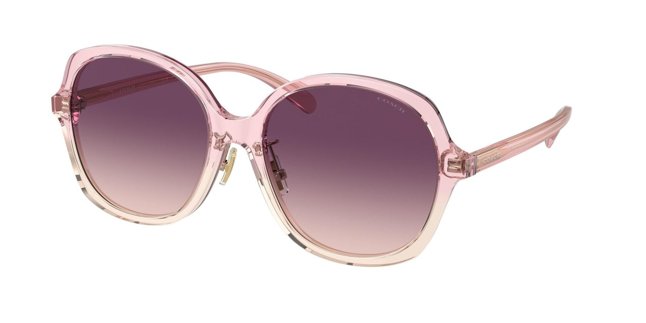 Coach Ch610 8360F Sunglasses